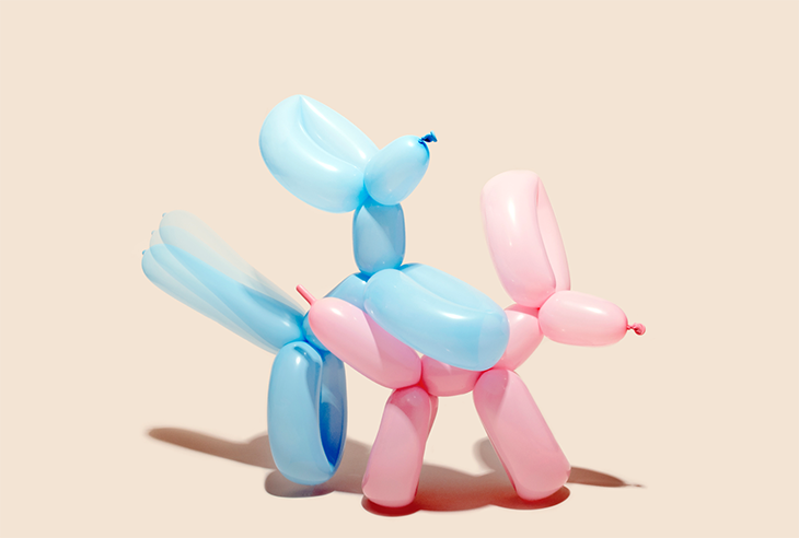 Name: Balloon Dogs Specs: 11 x 17” Medium: Canson Platine Value: $1,500