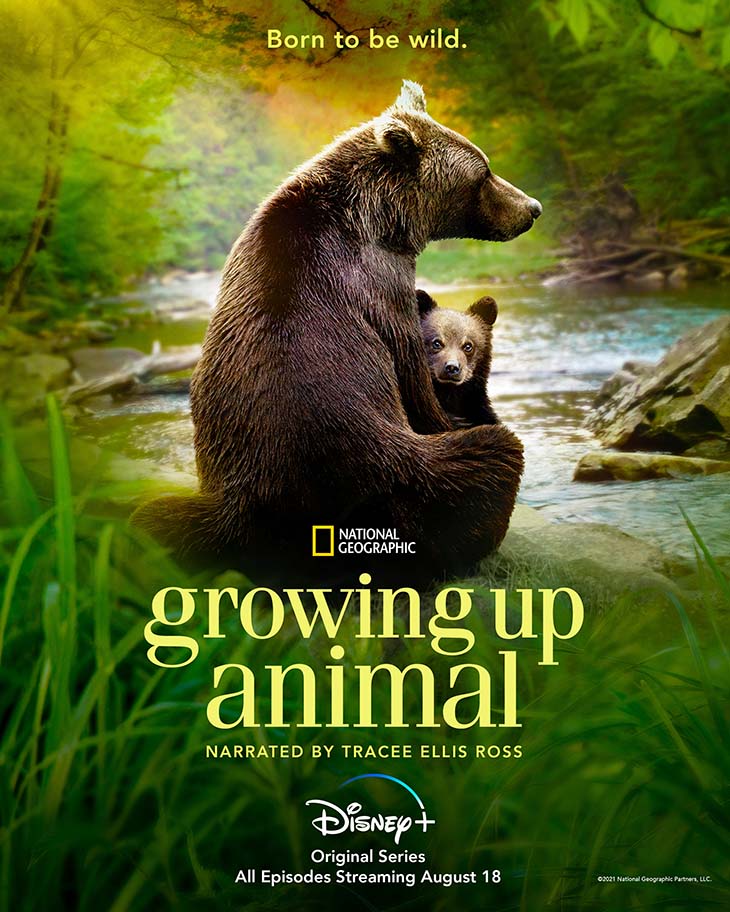 Key art for Disney Plus' natural history series 'Growing Up Animal.'