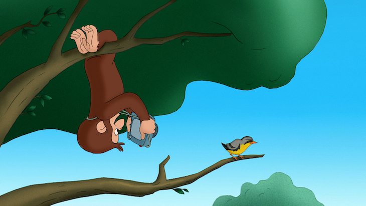 'Curious George'