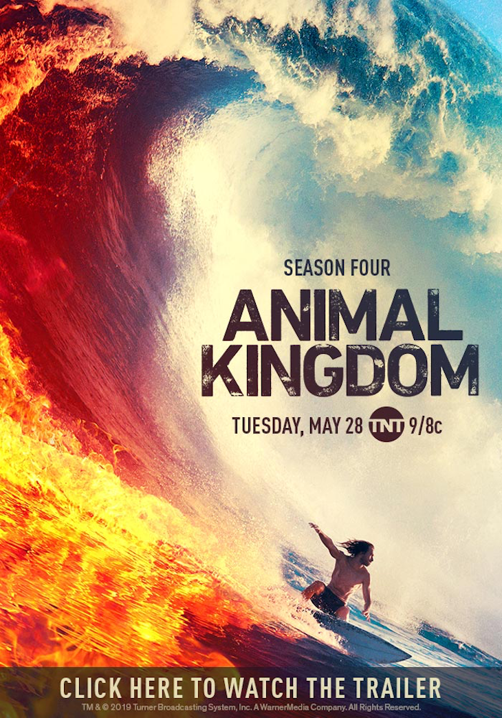 Key art for season 4 of TNT's 'Animal Kingdom'